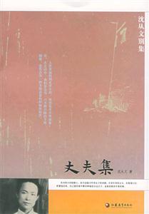 沈從文別集系列丈夫集 沈從文別集系列丈夫集