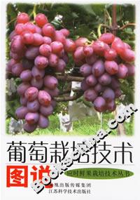葡萄栽培技術圖說 葡萄栽培技術圖說