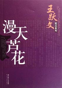 漫天蘆花 漫天蘆花