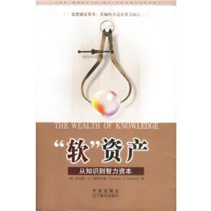《軟資產從知識到智力資本》讀后感800字：揭秘軟資產背后的力量，人物角色的智慧與生活挑戰！