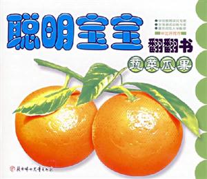 聰明寶寶翻翻書蔬菜瓜果 聰明寶寶翻翻書蔬菜瓜果