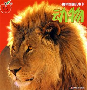 撕不爛嬰兒書卡動物 撕不爛嬰兒書卡動物