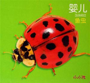 嬰兒BOOK魚蟲 嬰兒BOOK魚蟲