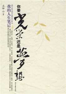 《我的人生筆記你要光榮還是夢想》讀后感300字：光榮與夢想的抉擇，人物內(nèi)心的情感沖突與生活挑戰(zhàn)，一場觸動靈魂的懸念之旅！