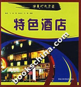 特色酒店精美燈光店面 特色酒店精美燈光店面