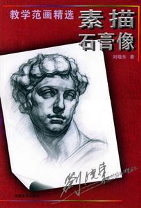 素描石膏像教學范畫精選 素描石膏像教學范畫精選