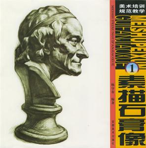 素描石膏像美術培訓規范教學 素描石膏像美術培訓規范教學