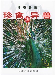 神奇云南珍禽異獸 神奇云南珍禽異獸