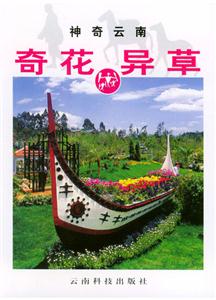 神奇云南奇花異草 神奇云南奇花異草