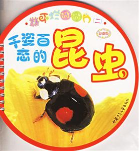 撕不爛圓圓片2千姿百態(tài)的昆蟲