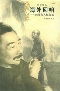《海外回響》讀后感400字：海外的回響，人物的跨越與情感的碰撞，一場(chǎng)關(guān)于追尋與挑戰(zhàn)的深度揭秘！