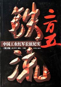 《鐵流二萬五》讀后感1000字：二萬五千里的鐵血征程，人物與情感的激蕩，一場(chǎng)關(guān)于信念與挑戰(zhàn)的深度揭秘！