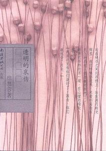 席慕蓉文集透明的哀傷 席慕蓉文集透明的哀傷