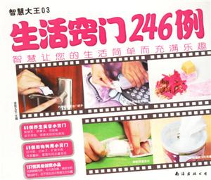生活竅門246例智慧大王03 生活竅門246例智慧大王03