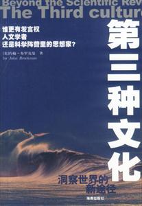 《第三種文化洞察世界的新途徑》讀后感400字：第三種文化的神秘面紗，人物思維的碰撞與融合，一場關于新視角與洞察力的探索之旅！