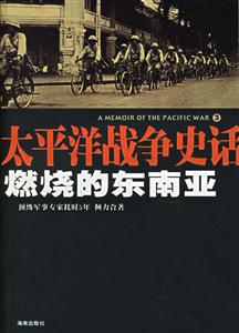 《燃燒的東南亞》讀后感400字：戰火中的情感糾葛，人物命運的沉浮，一場關于熱情與沖突的深度探索！