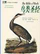 世界偉大的鳥(niǎo)類圖譜珍藏thebibleofbirds鳥(niǎo)類圣經(jīng) 世界偉大的鳥(niǎo)類圖譜珍藏thebibleofbirds鳥(niǎo)類圣經(jīng)