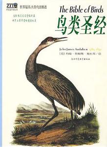 世界最偉大的鳥(niǎo)類(lèi)圖譜鳥(niǎo)類(lèi)圣經(jīng) 世界最偉大的鳥(niǎo)類(lèi)圖譜鳥(niǎo)類(lèi)圣經(jīng)