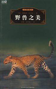 野獸之美 野獸之美