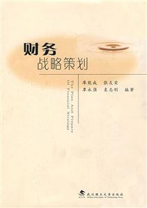 財務戰略策劃 財務戰略策劃