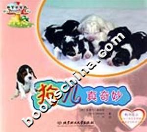 《狗兒真奇妙》讀后感1000字：忠誠的伙伴，揭示狗狗世界的神奇與無盡魅力！