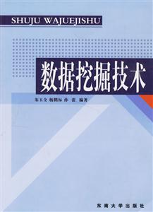 數(shù)據(jù)挖掘技術(shù) 數(shù)據(jù)挖掘技術(shù)