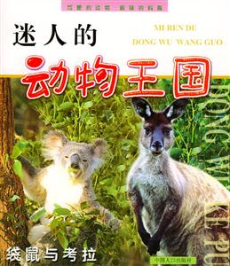 迷人的動物王國袋鼠與考拉 迷人的動物王國袋鼠與考拉