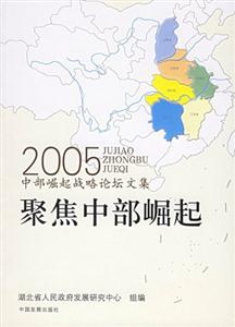 《聚焦中部崛起》讀后感800字：區(qū)域戰(zhàn)略，揭示中部地區(qū)發(fā)展的新機(jī)遇！