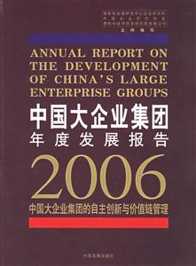 中國大企業集團年度發展報告2006 中國大企業集團年度發展報告2006