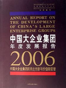 中國大企業集團年度發展報告2006中國大企業集團的自主創新與價值鏈管理 中國大企業集團年度發展報告2006中國大企業集團的自主創新與價值鏈管理