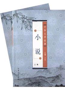 小說 小說