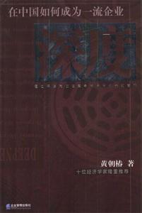 深度在中國如何成為一流企業(yè) 深度在中國如何成為一流企業(yè)