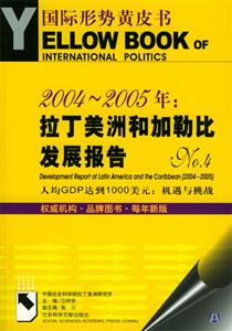 20042005年拉丁美洲和加勒比發展報告 20042005年拉丁美洲和加勒比發展報告
