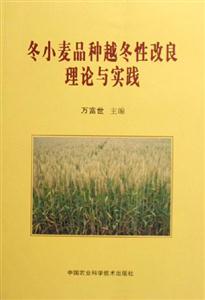 冬小麥越冬期凍害及防凍減災 冬小麥越冬期凍害及防凍減災