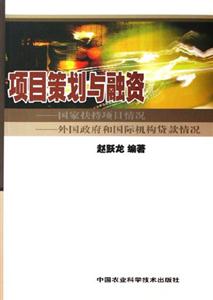 項目策劃與融資 項目策劃與融資
