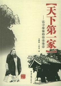 《天下第一家》讀后感300字：家族風云，揭秘天下第一家的榮耀與挑戰！