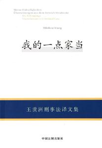 我的一點(diǎn)家當(dāng)王世洲刑事法譯文集 我的一點(diǎn)家當(dāng)王世洲刑事法譯文集