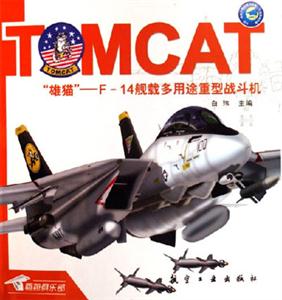 “雄貓”F14艦載多用途重型戰斗機 “雄貓”F14艦載多用途重型戰斗機
