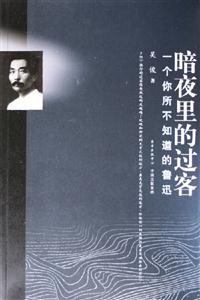 暗夜里的過客 暗夜里的過客