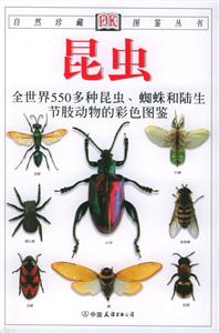昆蟲 昆蟲