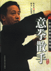 意拳散手 意拳散手