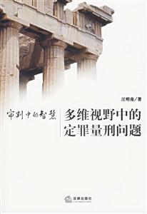 多維視野中的定罪量刑問題審判中的智慧