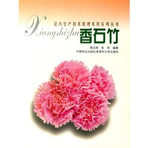 香石竹 香石竹