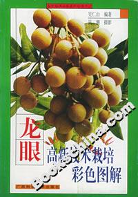 龍眼高新技術栽培彩色圖解 龍眼高新技術栽培彩色圖解