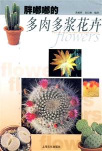 胖嘟嘟的多肉多漿花卉 胖嘟嘟的多肉多漿花卉