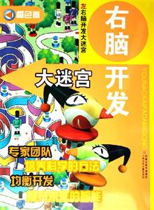 右腦開發大迷宮橙色卷 右腦開發大迷宮橙色卷