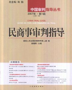 2007年民商事審判指導