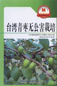 臺灣青棗無公害栽培 臺灣青棗無公害栽培