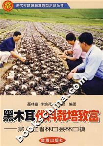 黑木耳代料栽培致富:黑龍江省林口縣林口鎮(zhèn) 黑木耳代料栽培致富:黑龍江省林口縣林口鎮(zhèn)