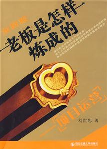 項目運營老板是怎樣煉成的全新版 項目運營老板是怎樣煉成的全新版